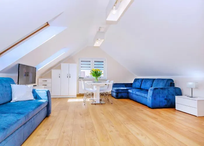 Olivia Chlapowo/wladyslawowo *